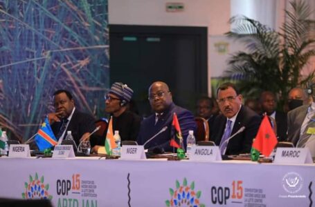 CLIMAT_CÔTE D&rsquo;IVOIRE : COP 15 LE PRÉSIDENT FELIX TSHISEKEDI A ABIDJAN