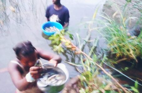 RDC-NORD KIVU: UN ENFANT DE 09ANS RETROUVÉ MORT A BWEREMANA ALIRS QU&rsquo;IL RAMASSAIT LES POISSONS AU KIVU