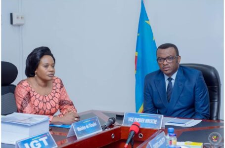 RDC – LE VPM MINISTRE DE LA FONCTION PUBLIQUE ET CELLE DU TRAVAIL – PREVOYANCE SOCIAL RÉFLÉCHISSENT SUR LA RÉGULATION DU SECTEUR D&rsquo;EMPLOI EN RDC